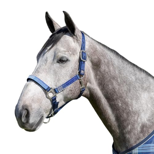 Kensington - color: Navy W/Kentucky Blue, size: Large