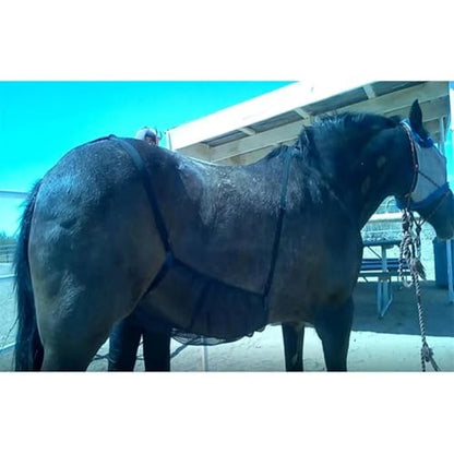 Horse Fly Sheet Belly Guard, Mesh Belly Protector with Adjustable Straps, Lightweight Fly Protection for Riding, All Breed Sizes, One Size, Unisex, Nylon Mesh, Summer, Spring, All Seasons