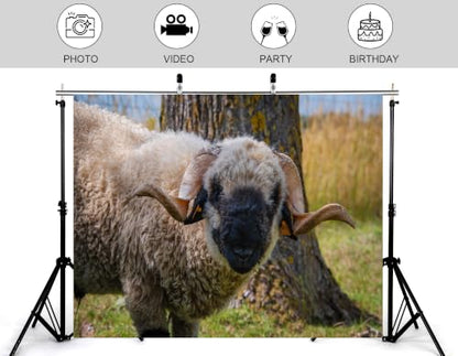 5x4ft Fabric Black Faced Sheep Backdrop Curly Wool Sheep Farm Animal Portrait Photography Background Tapestry Party Farm Scene Home Wall Decorations Banner Photo Booth Props - size: 5x4ft