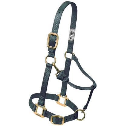 Weaver Leather Original Adjustable Nylon Horse Halter, Suckling, Diva Pink