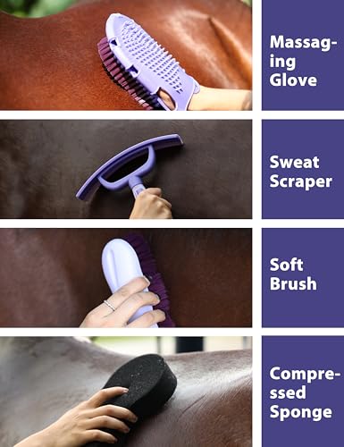 11-Piece Horse Grooming Kit with Waterproof Tote Sugar Taro - color: Sugar Taro
