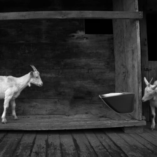 2 Hanging Feed Troughs & 2 Veggie Feeder for Chickens, Goats, Ducks - color: Charcoal