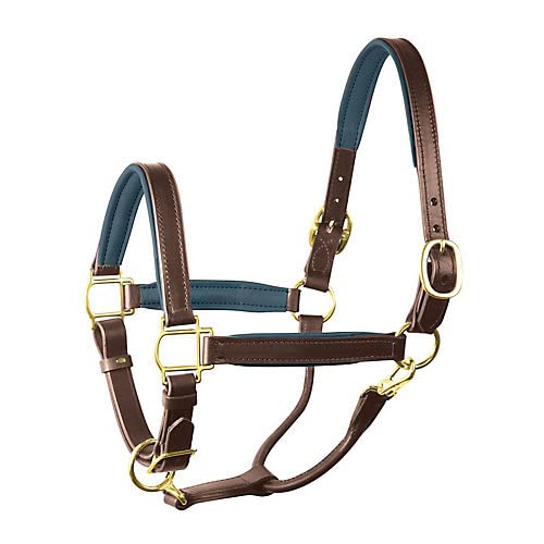 Perri's Soft Padded Leather Halter - color: Havana/Navy, size: Cob