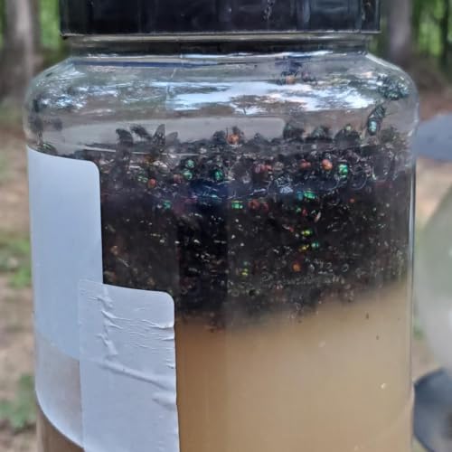 20 Pack Fly Trap Bait Refills, 20x30g Magnet Biting Attractant for Outdoor - size: 20 Pack