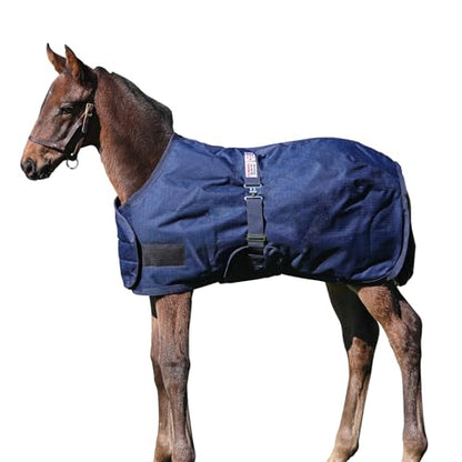 STORM SHIELD Euro Fit Bellyband Foal Horse Turnout Blankets | Mini Horse Blanket | Turnout Blankets for Horses Waterproof | Foal Blanket | Winter Horse Blankets - size: 30 - 36