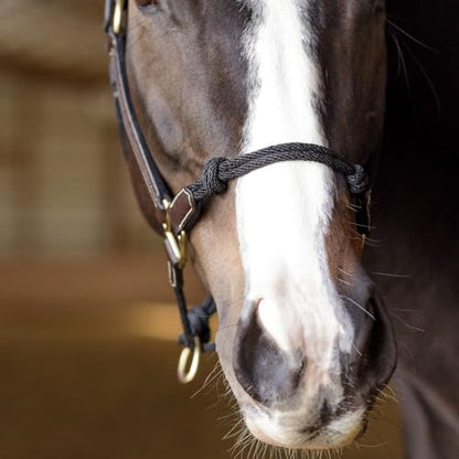 Schneiders Leather and Rope Nose Combo Control Halter for Horses | Breakaway Safety Crown | Rope Nose for Responsiveness - size: Cob