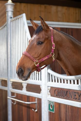Shires Velociti Lusso Padded Halter - Leather Breakaway - color: Burgundy, size: Cob