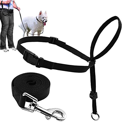 BARKELSS Gentle Dog Head Collar, Adjustable Padded Dog Halter | Dog Halter to Stop Pulling, Soft and Safety Control on Walks, Includes 1 Leash, Training Guide for Breeds - size: M