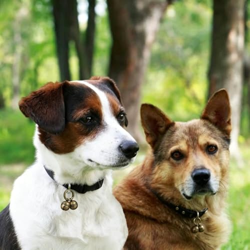 Dog Bells for Pet Tracking, 4 Extra Loud Dog & Cat Bells for Collar