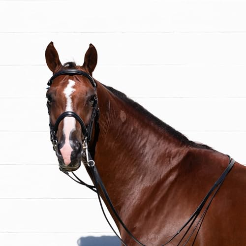 Equinavia Saga Double Bridle w/Reins - size: Cob