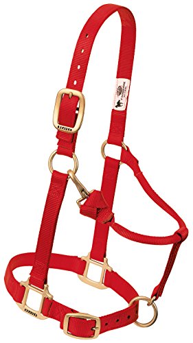 Weaver Leather Original Adjustable Nylon Horse Halter, Yearling, Red