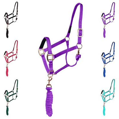 Majestic Ally Halter with Lead Rope for Horses–Adjustable Chin and Crown–Rolled Throat Latch with Replaceable Snap–Padded Noseband–Heavy Duty Rose Gold Finish Hardware - color: Purple