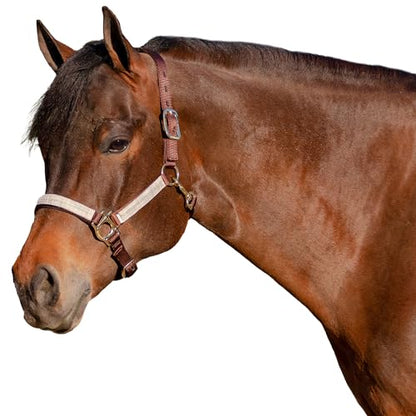Kensington - color: Brown w/Desert Sand, size: Large