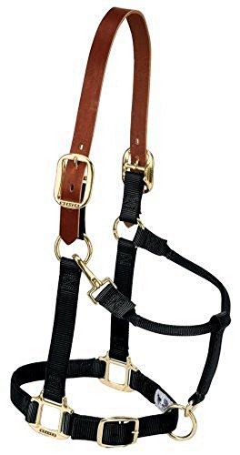 Weaver Equine Breakaway Horse Halter, Supple Leather Crown, Adjustable Brass Throat Snap Halters for Horses, Equine Tack - color: Black