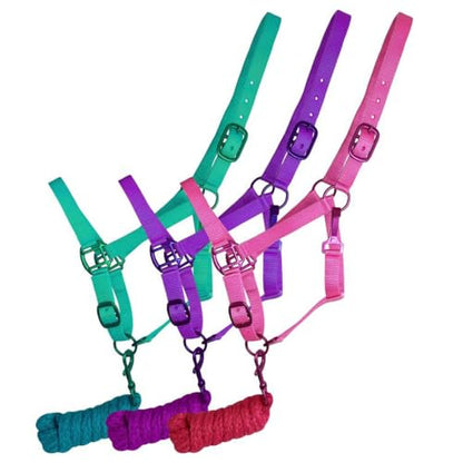 Showman Pony Triple Ply Nylon Halter w/Lead Rope - color: Pink