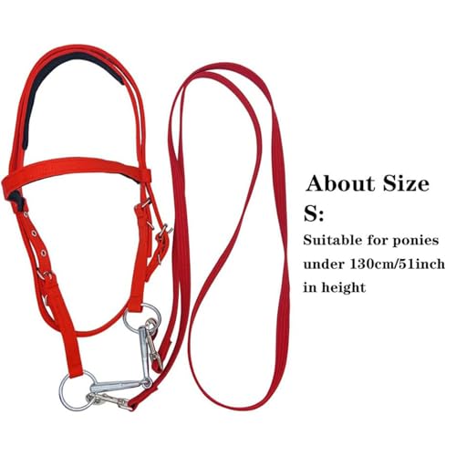 Draft Horse Bridle Anti-Tear Horse Riding Headstall | Equine Snaffle Noseband, Adjustable Soft Lined Equestrian Browband for Outdoor Use - size: Small