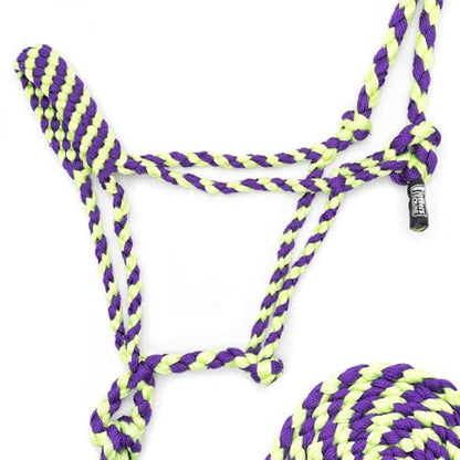 Jeffers Equine Braided Mule Tape Halter with 10' Detachable Lead Rope Set for Horses, 14 to 18 Hands - Stylish Design with Adjustable Poll Strap, Easy to Use Western Tack - Purple & Lime Green - color: Purple & Lime Green