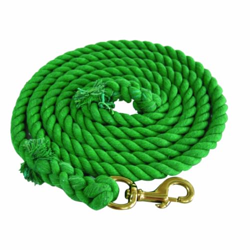 Jeffers Twisted Cotton Horse Lead Rope w/Brass Bolt Snap, 10' L - Green - color: Twisted Green, size: 3/4" x 10'L