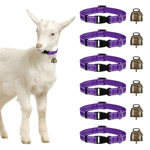M METERXITY 6-Pack Reflective Goat Collars with Bells, 13.8"-20.5" Polyester Adjustable Pet Collar with Anti-Lost Grazing Copper Bell for Small Farm Animal/Sheep/Cow/Goat [Purple] - color: Purple
