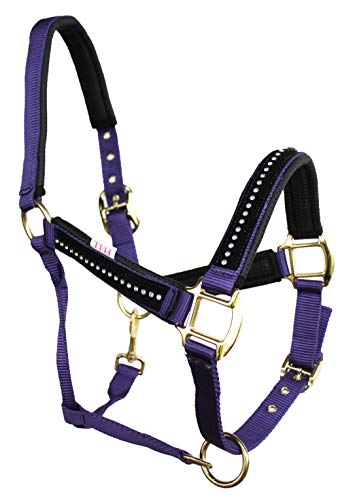 Nylon Horse Neoprene Padded Pink Halter Brass Hardware w/Rhinestones 606172PR - color: Purple