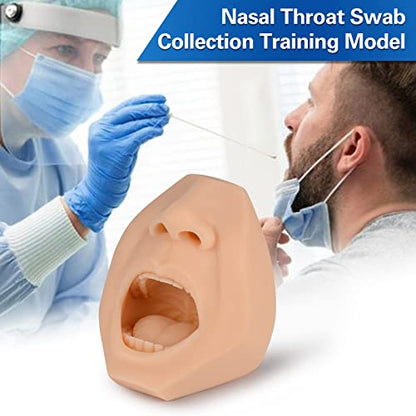 Nasal Swab Training Model, Throat and Oral Swab Collection Simulator, White - color: white