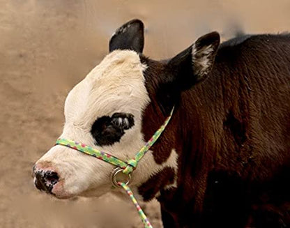 Extra Small - Sheep, Goat, Small Calf Adjustable Halter & Lead USA 250-700bs (Silver)
