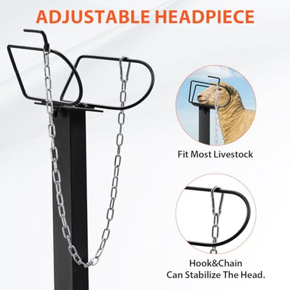 GTPLAYER Goat Milking Stand with Hand Crank,Wheels – 48"x23" Adjustable Headpiece & Height, for Grooming, Milking, Hoof Trimming, Heavy Duty Metal Sheep/Goat Stand, 500 LB Capacity Dark-Black