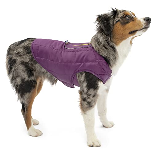 Kurgo Loft Dog Jacket, Deep Violet, Extra Small - color: Deep Violet/Charcoal, size: Extra Small