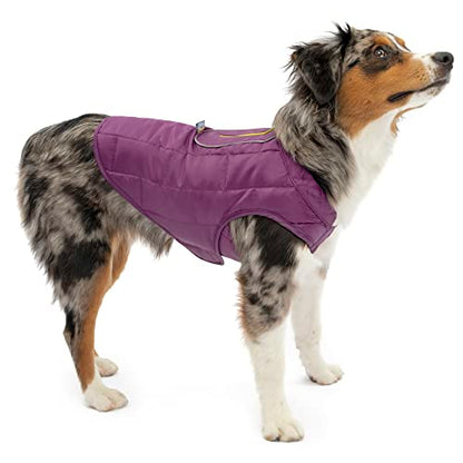 Kurgo Loft Dog Jacket, Deep Violet, Extra Small - color: Deep Violet/Charcoal, size: Extra Small