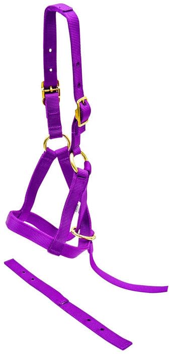 Jeffers Equine Nylon Weanling Halter for Miniature Horses – Adjustable 2 Ply 3/4" Webbing with Brass Plated Hardware, Double Crown Design, Lightweight for Training, Grooming, & Farm Use - Purple - color: Purple