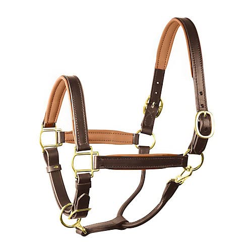 Perri's Soft Padded Leather Halter - color: Havana/Camel, size: Horse