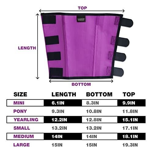 Harrison Howard Loose Fitting Fly Boots UV-Protective Extra Tough Mesh Ventilated Four Fasteners Stay-on Design Protect Horse Legs & Stomp-Reducing Set of 4 Purple Mini - color: Purple, size: Mini