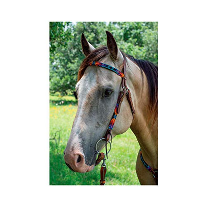 CIRCLE Y Infinity Wrap Bead Browband Headstall for Horse - color: Sunset