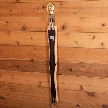 EASY-UP Berlin Brass Double Horseshoe Bridle Rack for Horses | Solid Brass Wall Mount | Elegant Arched Top for Halters & Bridles | Hook for Leads & Girths