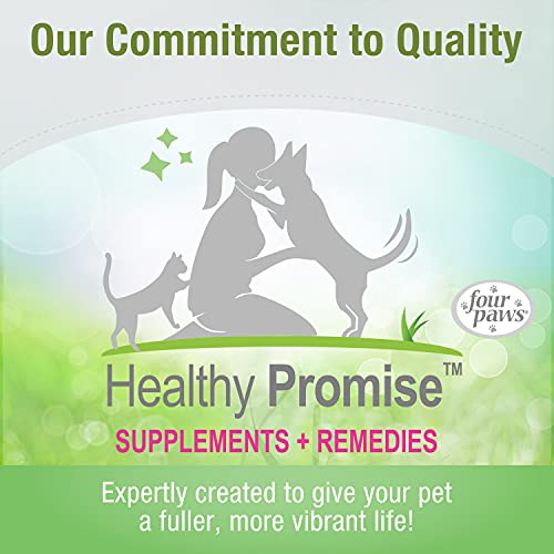 Four Paws Healthy Promise Easy Feeder Pet Feeding Syringe, 2 Count