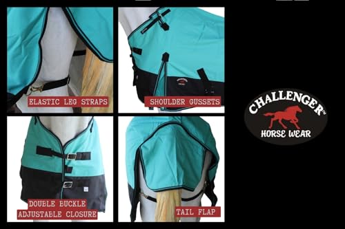 Challenger 1200D Turnout Rain Horse Sheet Light Winter Blanket Gusset 367 - color: Turquoise Black, size: 76 inches