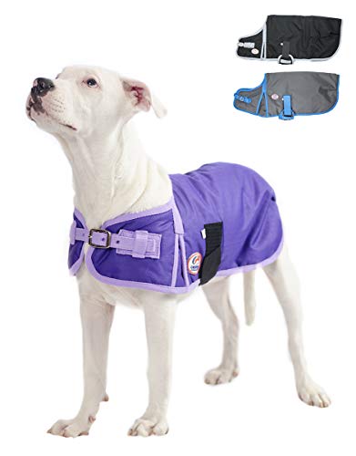 Derby Originals Horse Tough 600D Ripstop Waterproof Winter Dog Coat 150g Medium Weight - size: 28.5 in