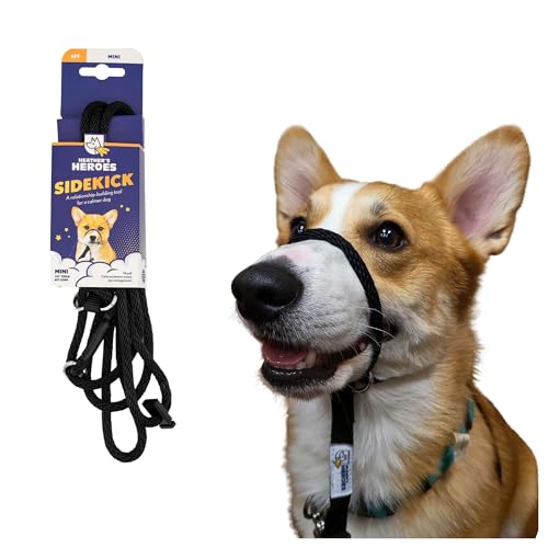 Heather's Heroes The Sidekick No-Pull Leash Black - color: Black, size: Mini (1/4")