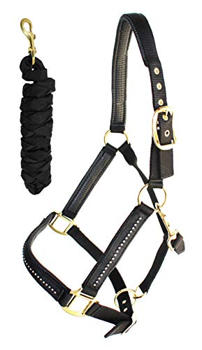 Nylon Neoprene Padded Black Horse Halter Rhinestones Brass 606172BK - color: Black