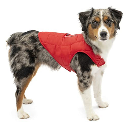 Kurgo Loft Dog Jacket, Chili Red/Charcoal, Small - color: Chili Red/Charcoal, size: Small