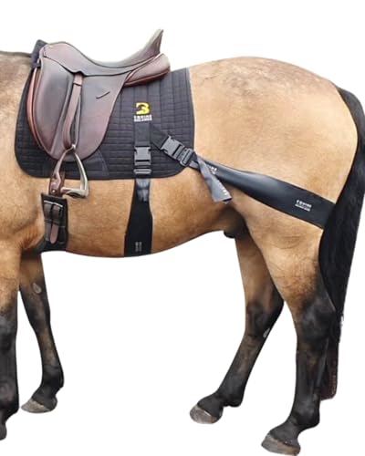 Core Conditioning Saddle Pad & Band System for Horses - style: Dressage