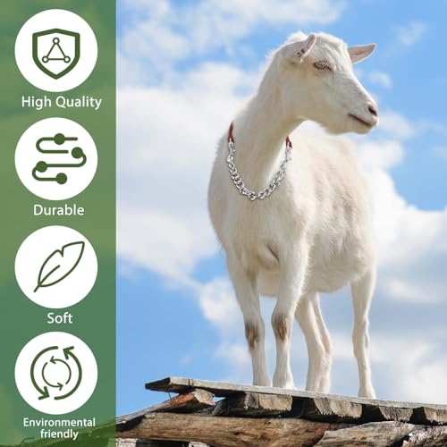 Misdary 4 Pcs Goat Show Collars Adjustable 14" Chain, 14'', Brown - color: Brown