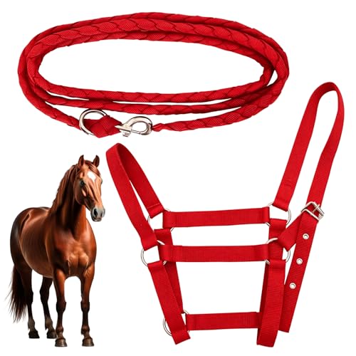 Adjustable Nylon Horse Halter & Matching Lead Set for Horses - color: RED