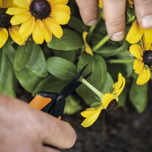 Fiskars 6" Non-Stick Pruning Snips, Resin-Resistant Garden Scissors | Garden Shears for Weeds, Flower Buds & Small Plants, Steel Blades Stay Sharp, Easy Action Spring, SoftGrip Handles - style: Non-Stick Snips
