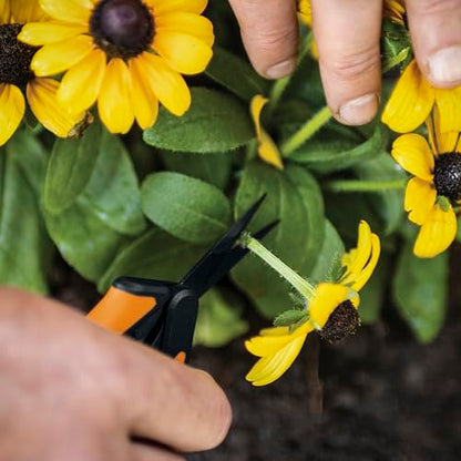 Fiskars 6" Non-Stick Pruning Snips, Resin-Resistant Garden Scissors, 2-Pack | Garden Shears for Weeds, Flower Buds & Small Plants, Steel Blades Stay Sharp, Easy Action Spring, SoftGrip Handles - style: Non-Stick Snips (2-Pack)