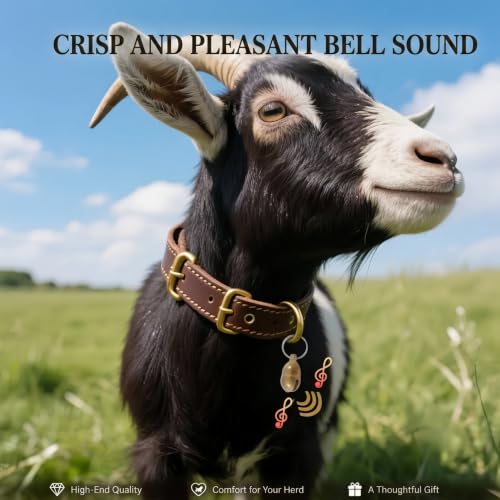 Genuine Leather Goat Collar with Brass Bell,S-18 (Neck Fits 11"-15") - size: S-18" (Neck Fits 11"-15")
