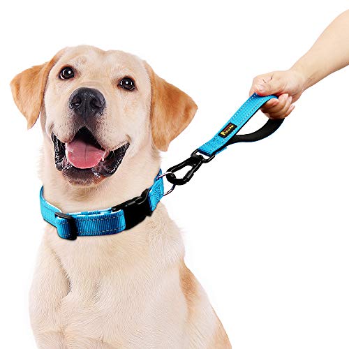 PLUTUS PET 10” Short Dog Leash, Reflective Nylon Padded Handle, Strong Traffic Leash with Carabiner Clip, Perfect for Large or Medium Dogs（10”，Blue | Reflective, Heavy Duty Strong Nylon, Traffic Leash with Carabiner Clip for Training Walking (10", Light B