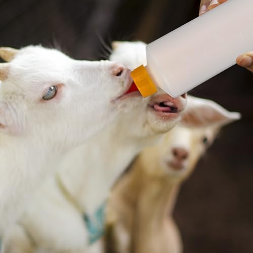 Balacoo 5 Sets Goat Bottles and Nipples, 400 ML Lamb Feeding Bottles