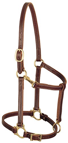 Weaver Leather - color: Mahogany, size: Average Horse, style: 3/4" Thickness