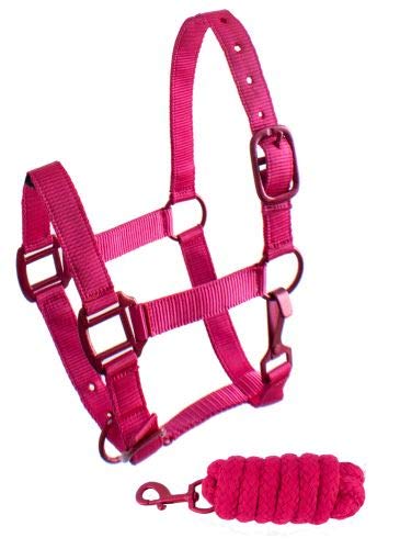 Showman Pony Triple Ply Nylon Halter w/Lead Rope - color: Pink